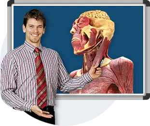 cadaVR PROFESSIONAL