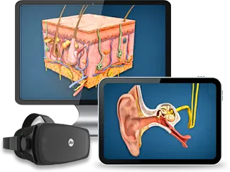 mozaMedical PERSONAL